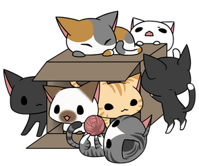 neko box. 2015.